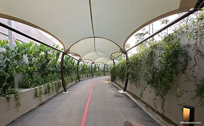 Walking & Cycling Path Between Mandai Wildlife EAST & WEST 3 path undulates up and down with the terrain