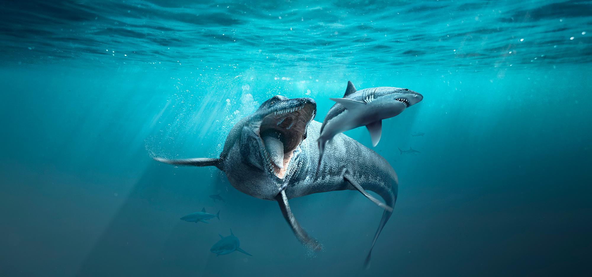 Sea Monsters: Prehistoric Ocean Predators