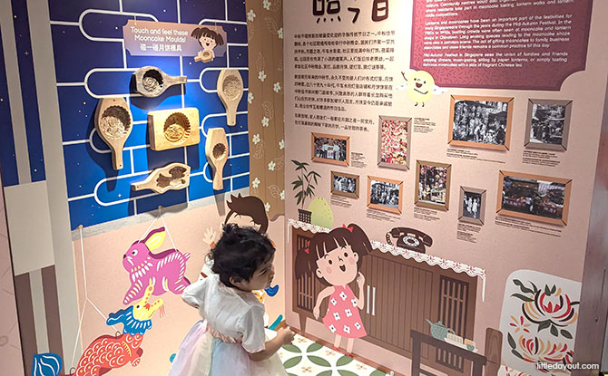 Exhibitions and Displays