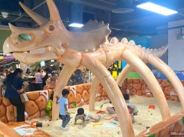 Wan To Play Little Dino Playground: Embark On a Dinomite Adventure