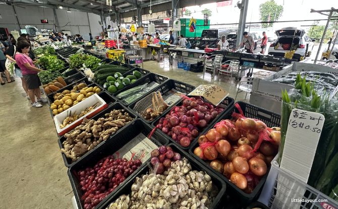 Weekend Market At Kok Fah Technology Farm: Veg Shopping & Farm Animals 2 The Weekend Market at Tengah