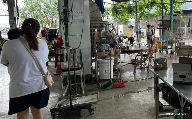 Weekend Market At Kok Fah Technology Farm: Veg Shopping & Farm Animals 7 birds perched out