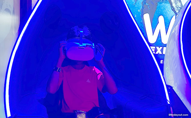 Wild Explorer VR Experience At Bird Paradise 3 VR headset