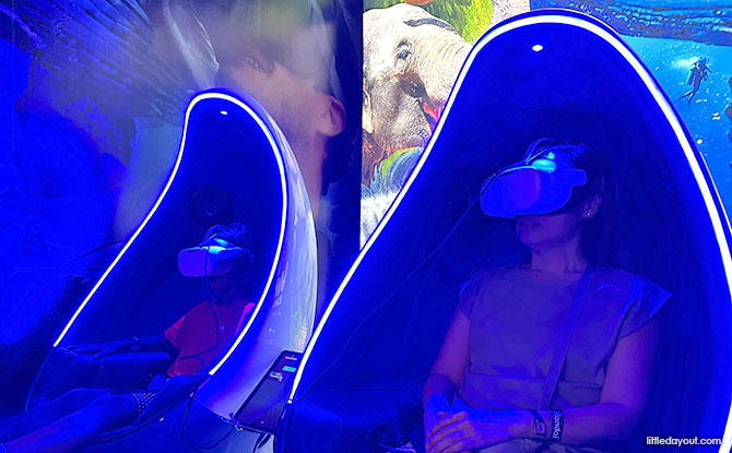 Wild Explorer VR Experience At Bird Paradise 2 Animal Encounters in Virtual Reality