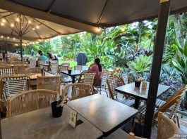 Wildseed Cafe Opens At The Garage, Singapore Botanic Gardens