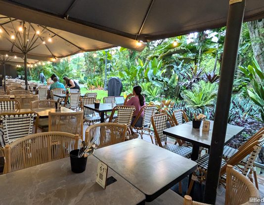 Wildseed Cafe Opens At The Garage, Singapore Botanic Gardens