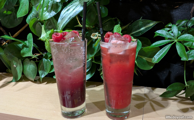 Wildseed Cafe Opens At The Garage, Singapore Botanic Gardens 7 Drinks & Desserts