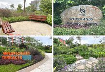 Woodlands Healing Garden: Singapore's Largest Therapeutic Garden With A Nature PlayGarden