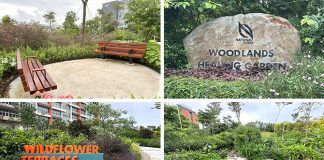 Woodlands Healing Garden: Singapore's Largest Therapeutic Garden With A Nature PlayGarden
