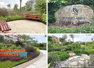 Woodlands Healing Garden: Singapore’s Largest Therapeutic Garden With A Nature Playgarden Woodlands Healing Garden: Singapore's Largest Therapeutic Garden With A Nature PlayGarden