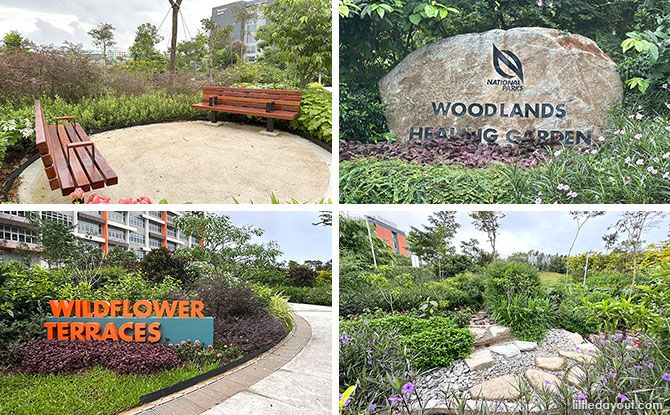 Woodlands Healing Garden: Singapore's Largest Therapeutic Garden With A Nature PlayGarden