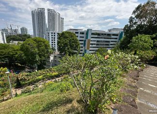 Woodlands Town Park East & Woodlands Botanical Garden Woodlands Town Park East & Woodlands Botanical Garden