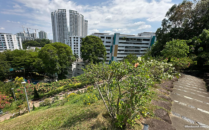 Woodlands Town Park East & Woodlands Botanical Garden Woodlands Town Park East & Woodlands Botanical Garden