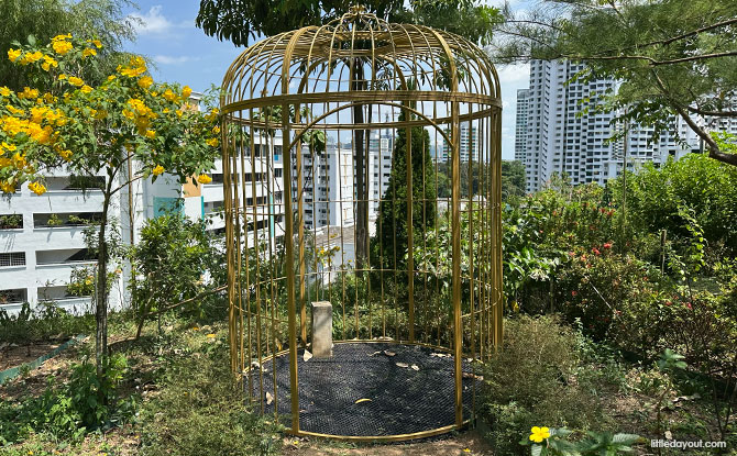 Woodlands Town Park East & Woodlands Botanical Garden 6 walk through the Woodlands Botanical Garden