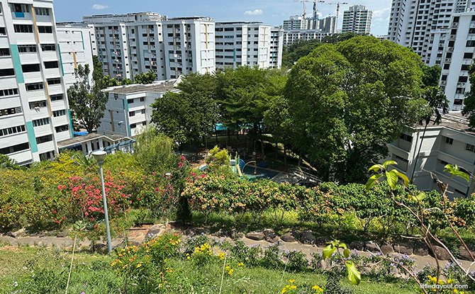 Woodlands Town Park East & Woodlands Botanical Garden 4 View from the top of Woodlands Town Park East