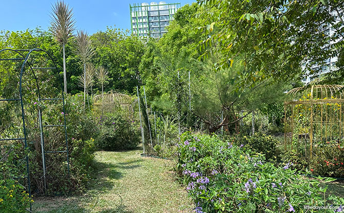 Woodlands Town Park East & Woodlands Botanical Garden 5 Woodlands Botanical Garden