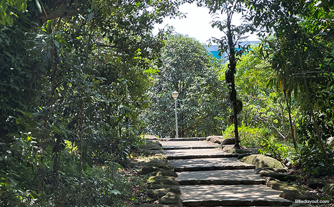 Woodlands Town Park East & Woodlands Botanical Garden 1 Woodlands Town Park East