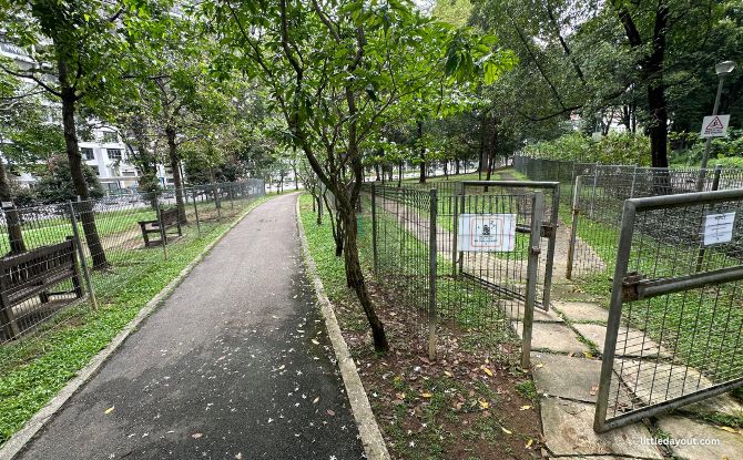 Yishun Park: Plantation Past, Playground & Dipterocarpus Arboretum 8 Yishun Park Dog Run