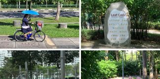 Yishun Park: Plantation Heritage, Playground & Dipterocarpus Arboretum