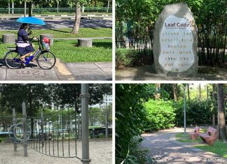 Yishun Park: Plantation Past, Playground & Dipterocarpus Arboretum Yishun Park: Plantation Heritage, Playground & Dipterocarpus Arboretum