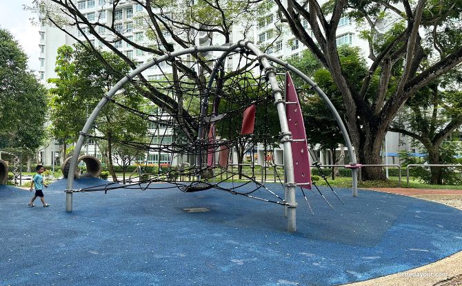 Yishun Park: Plantation Past, Playground & Dipterocarpus Arboretum 13 Rope dome at Yishun Park Playground