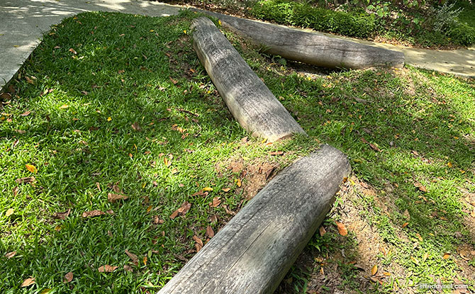 Yishun Pond Park Nature Playgarden: Simple Play With Nature 3 Balancing Logs