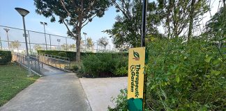 Yishun Pond Park Therapeutic Garden: Exercise Mound & Lawn Area