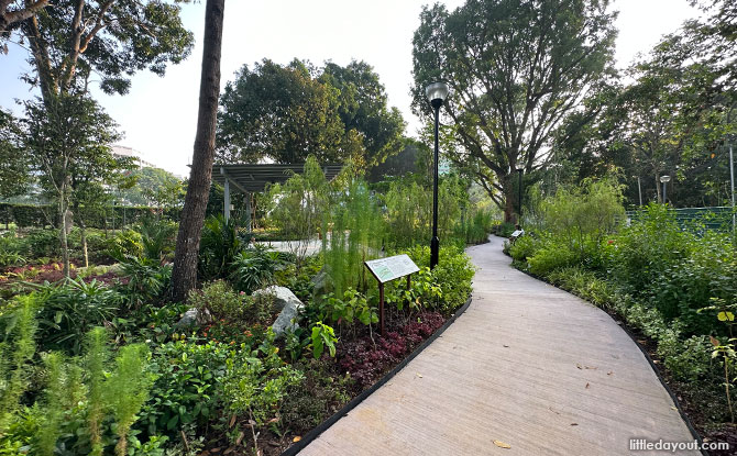 Yishun Pond Park Therapeutic Garden