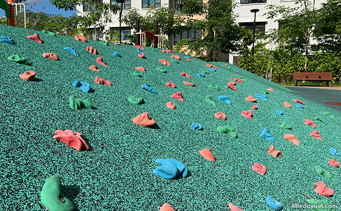 Handholds - Spring Blossom Playground