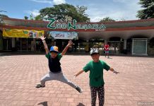 Zoo Negara: Visiting Malaysia’s Largest Zoo And Its Animals