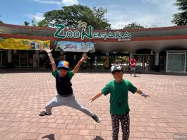Zoo Negara: Visiting Malaysia’s Largest Zoo And Its Animals