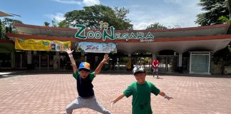 Zoo Negara: Visiting Malaysia’s Largest Zoo And Its Animals